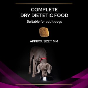 Pro Plan Veterinary Diet UR Urinary Dog Food 3kg. Free Delivery Cheap Prices PetShop